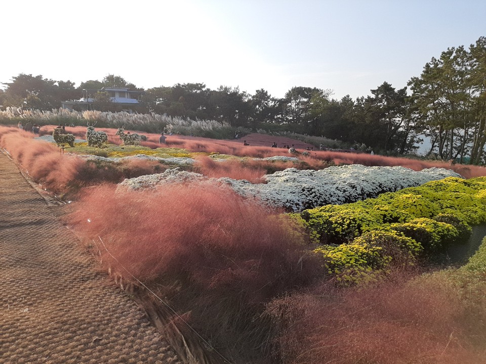 동백원 (충청남도 태안군) 사진