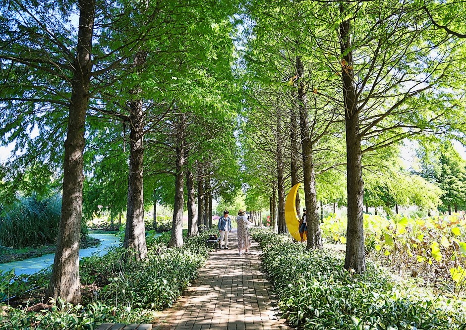 청산민박 (충청남도 태안군) 사진