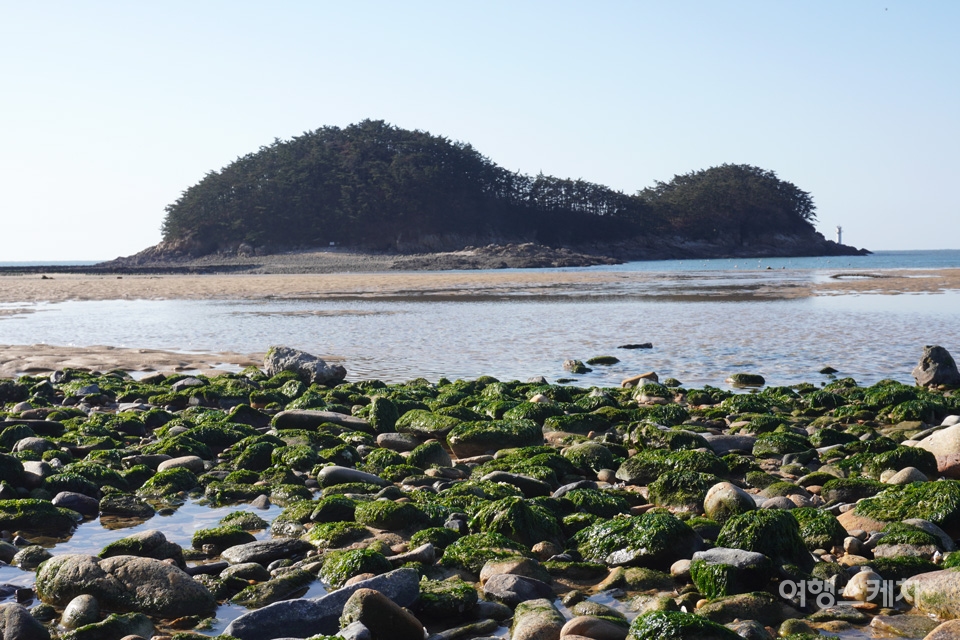 만리장벌 (충청남도 태안군) 사진