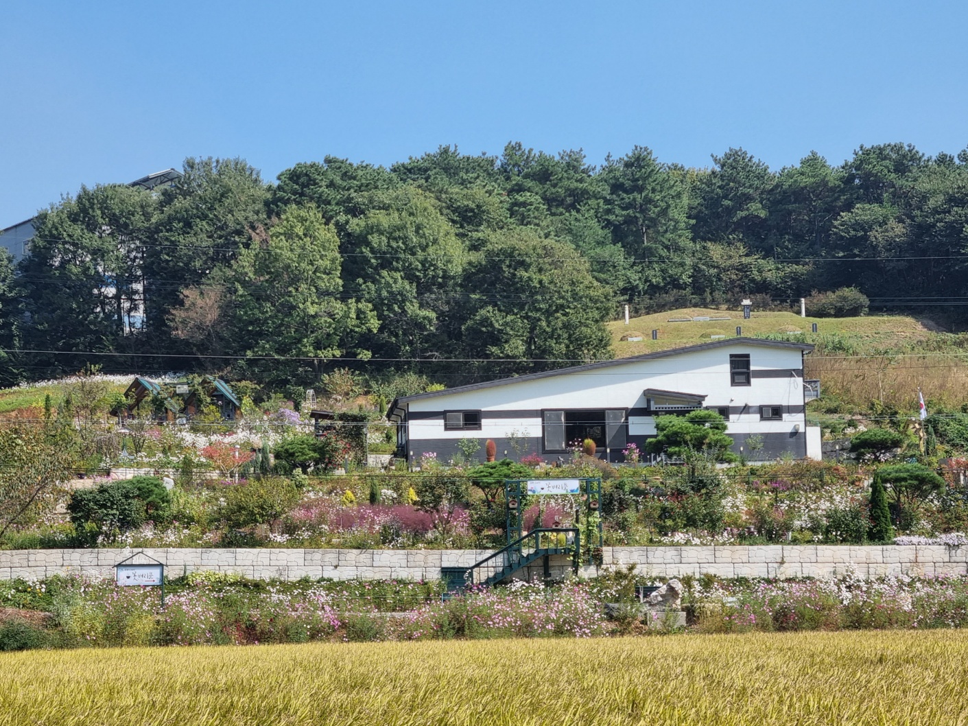 당진힐링펜션 (충청남도 당진시) 사진