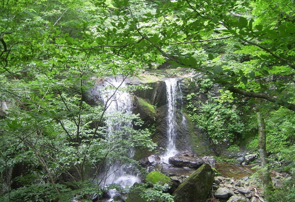 동대산펜션 (경상북도 포항시) 사진