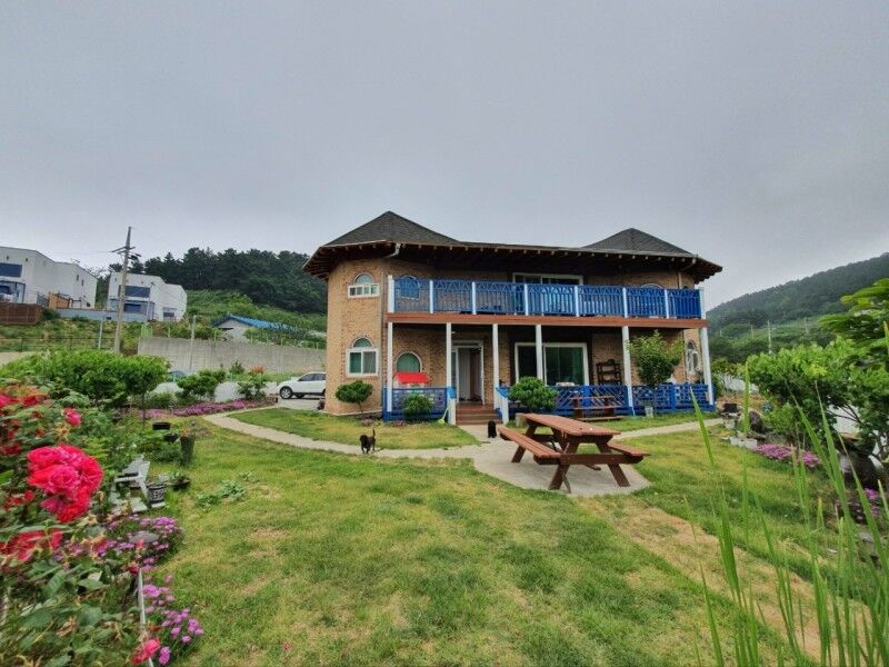 까사915독채펜션 (경상북도 포항시) 사진