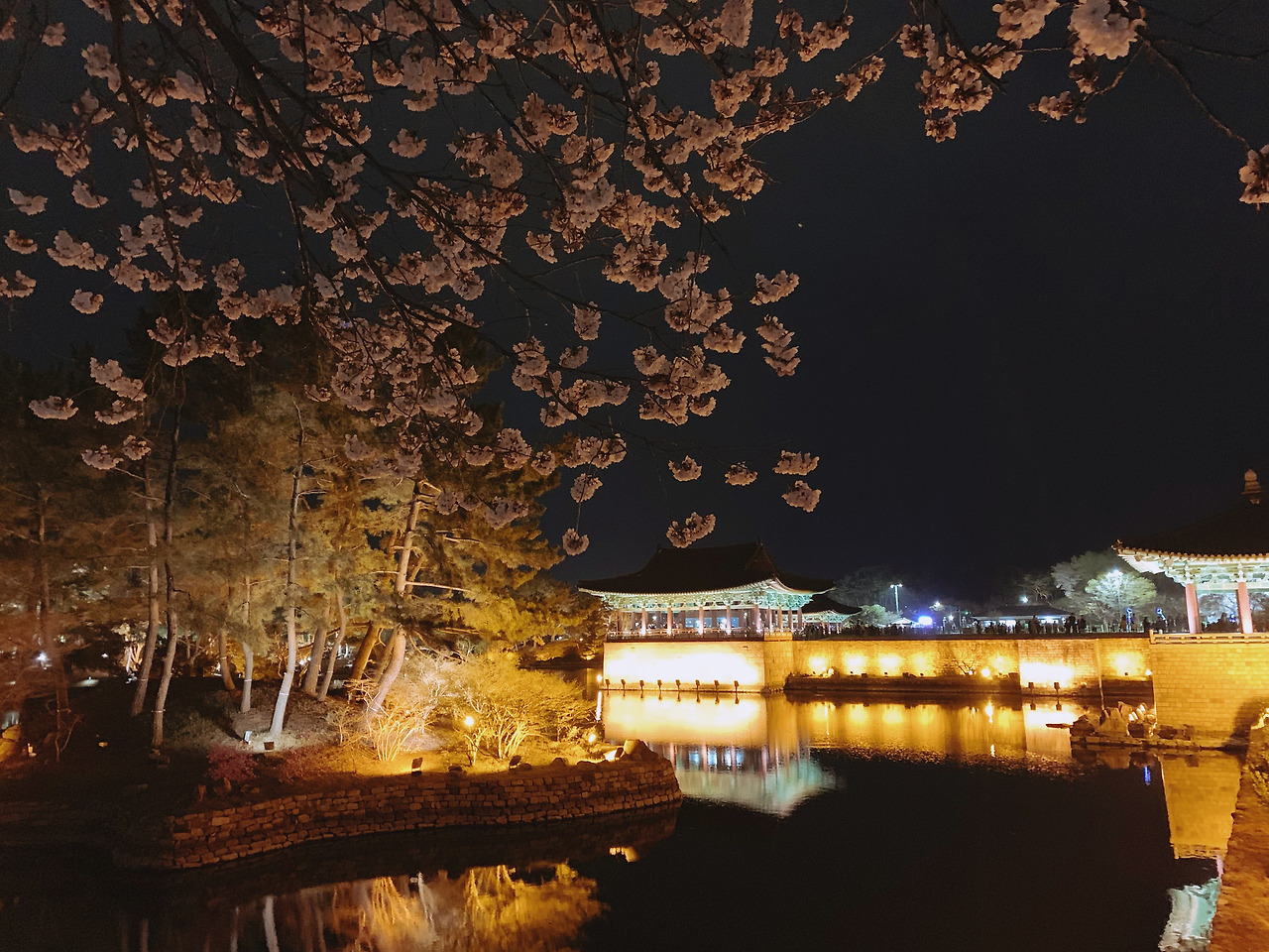 포레스트 경주(Forest 경주) (경상북도 경주시) 사진