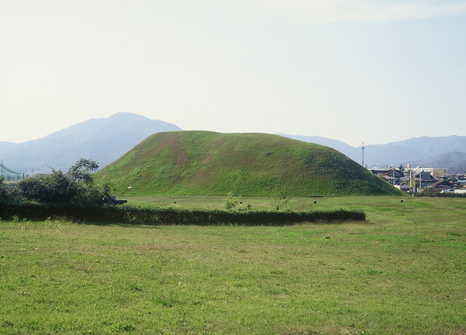 바람꽃 (경상북도 경주시) 사진