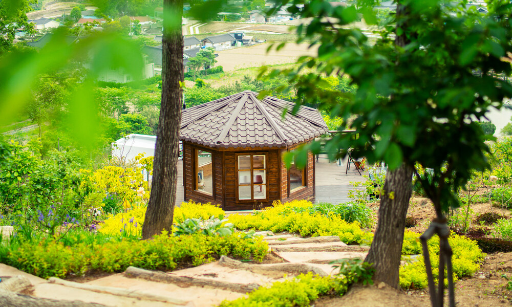 포레스트 173 (경상북도 경주시) 사진
