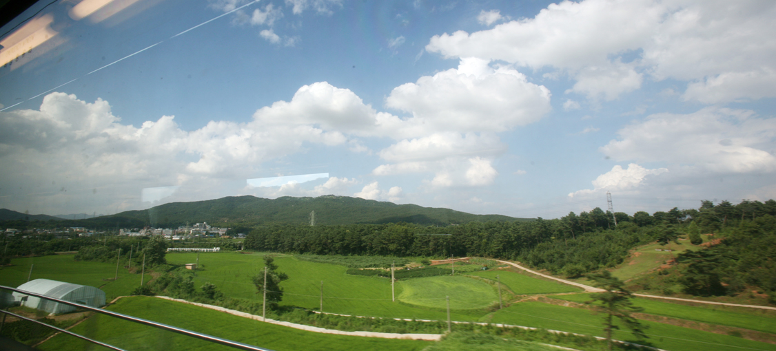 푸른하늘 (경상북도 경주시) 사진