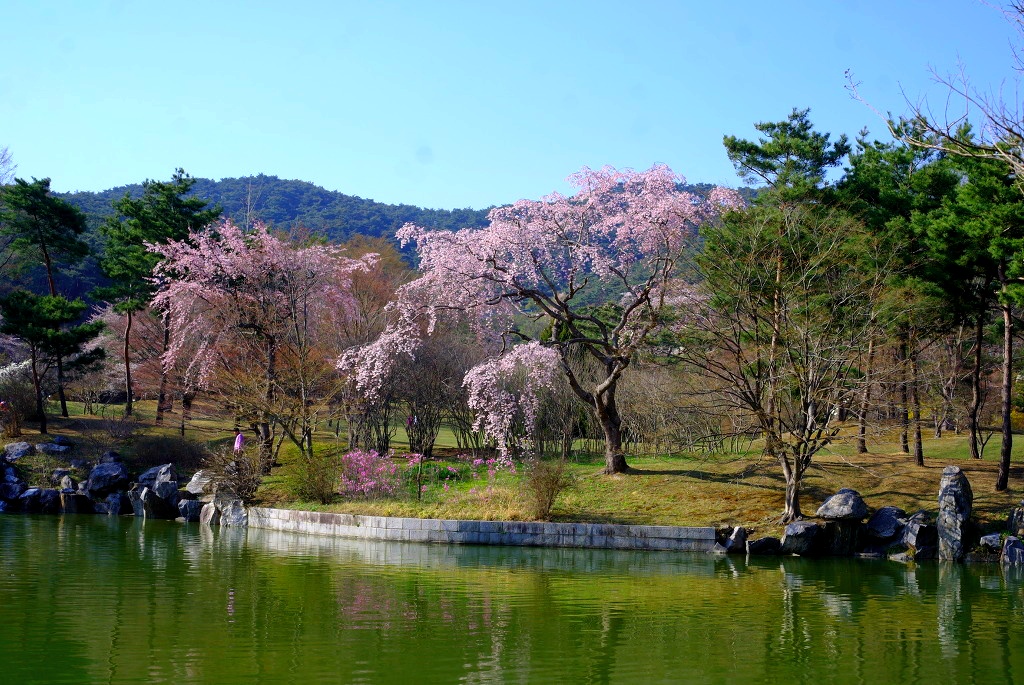 소달 (경상북도 경주시) 사진