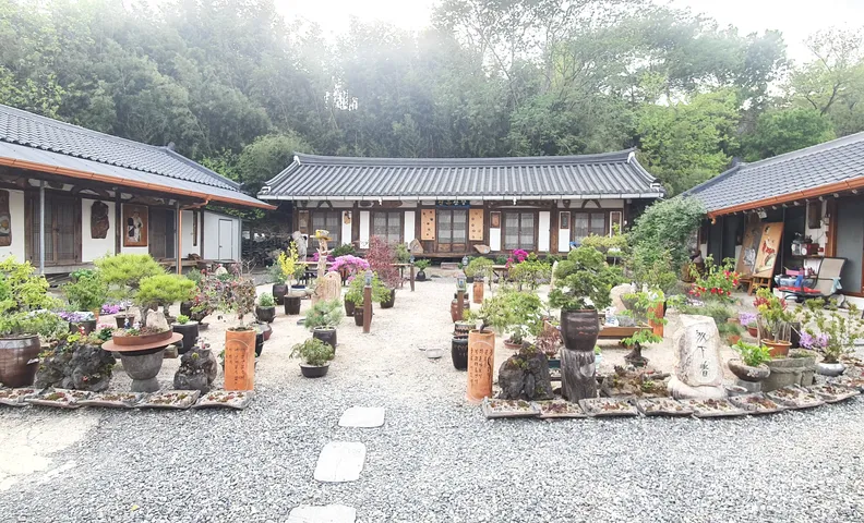 숲속게스트하우스 (경상북도 경주시) 사진