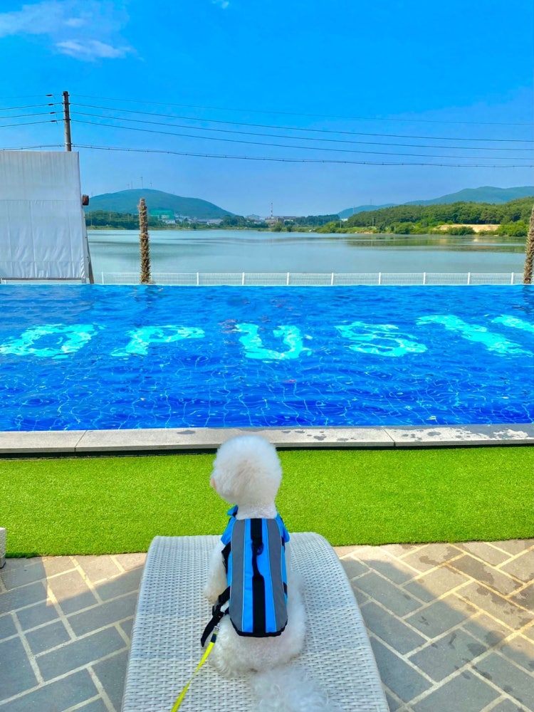 sea뷰펜션 (경상북도 경주시) 사진