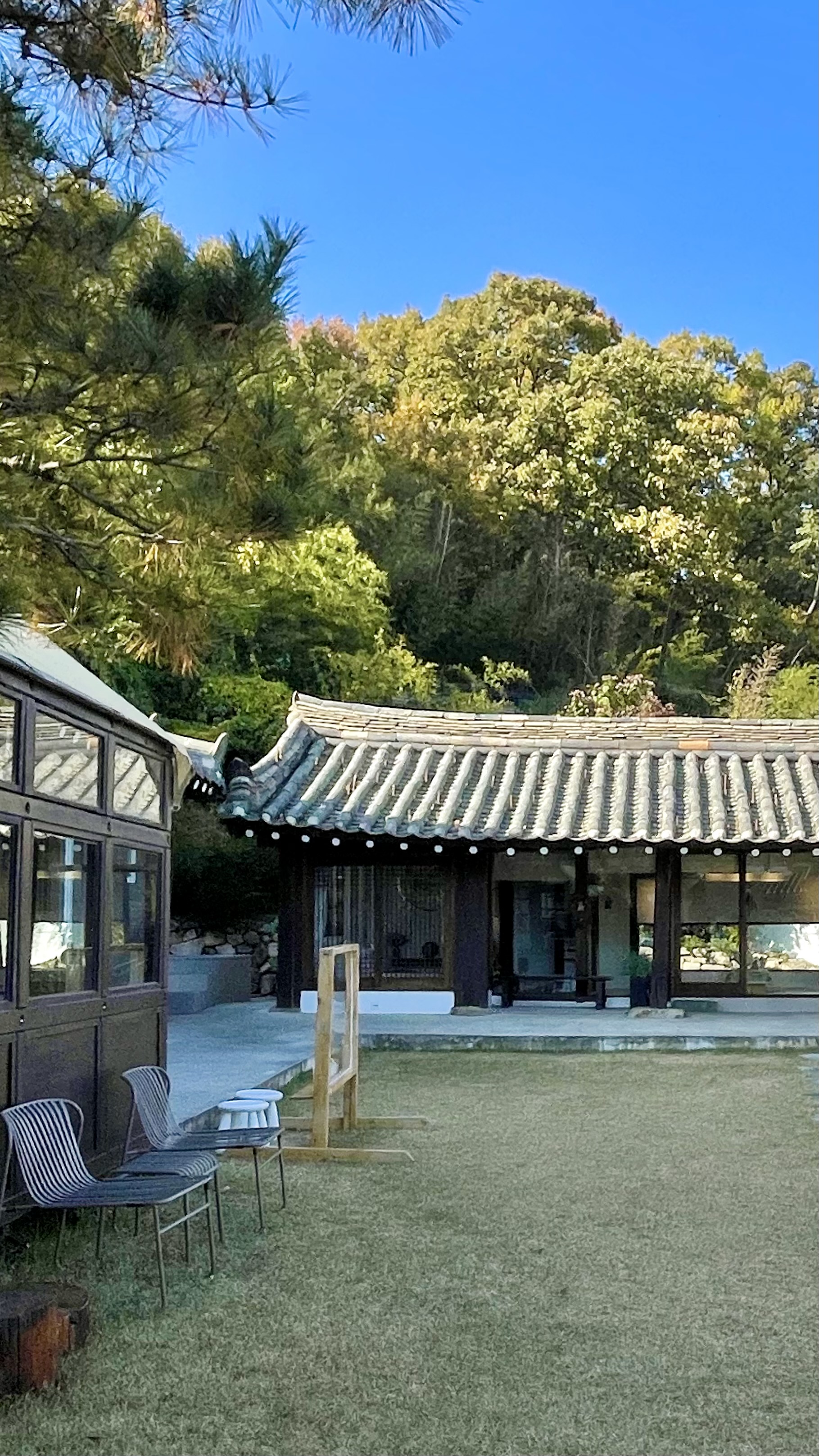 스테이낮선 (경상북도 경주시) 사진