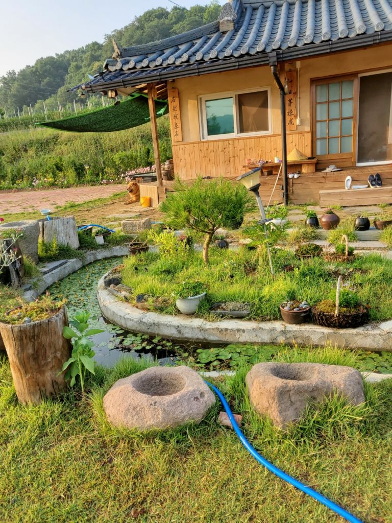 금서산방민박 (경상북도 안동시) 사진