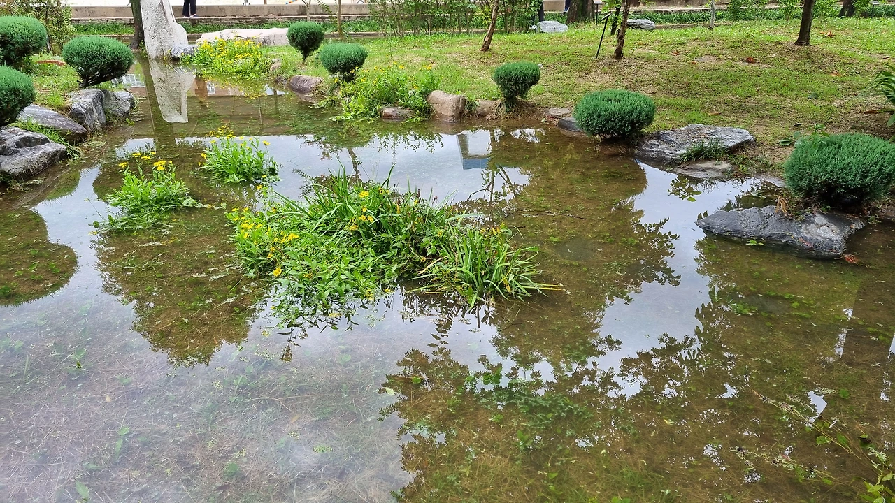 호수정원 (경상북도 구미시) 사진