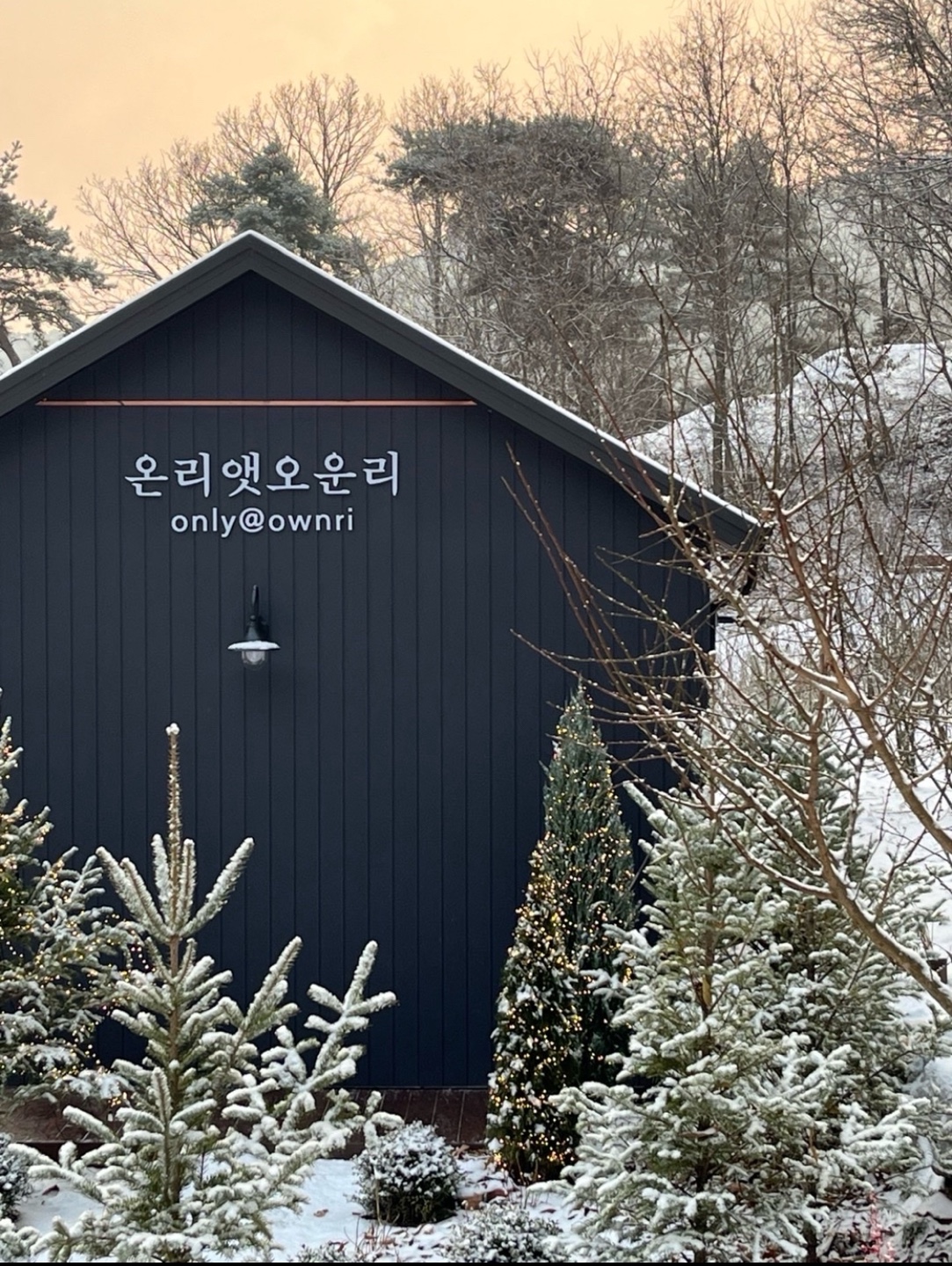 온리앳오운리 (경상북도 영주시) 사진