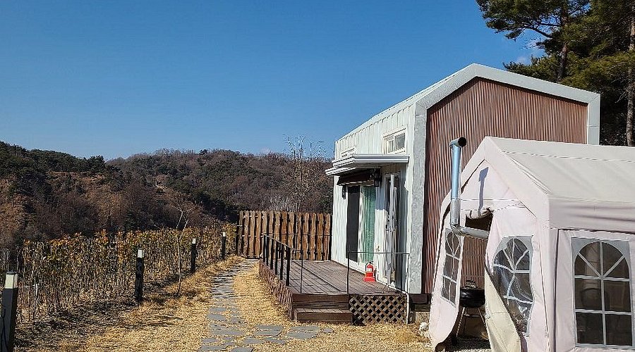 배때기네하우스 (경상북도 영주시) 사진
