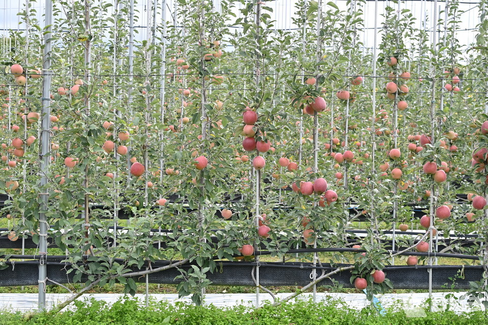 부자되는민박 (경상북도 청송군) 사진
