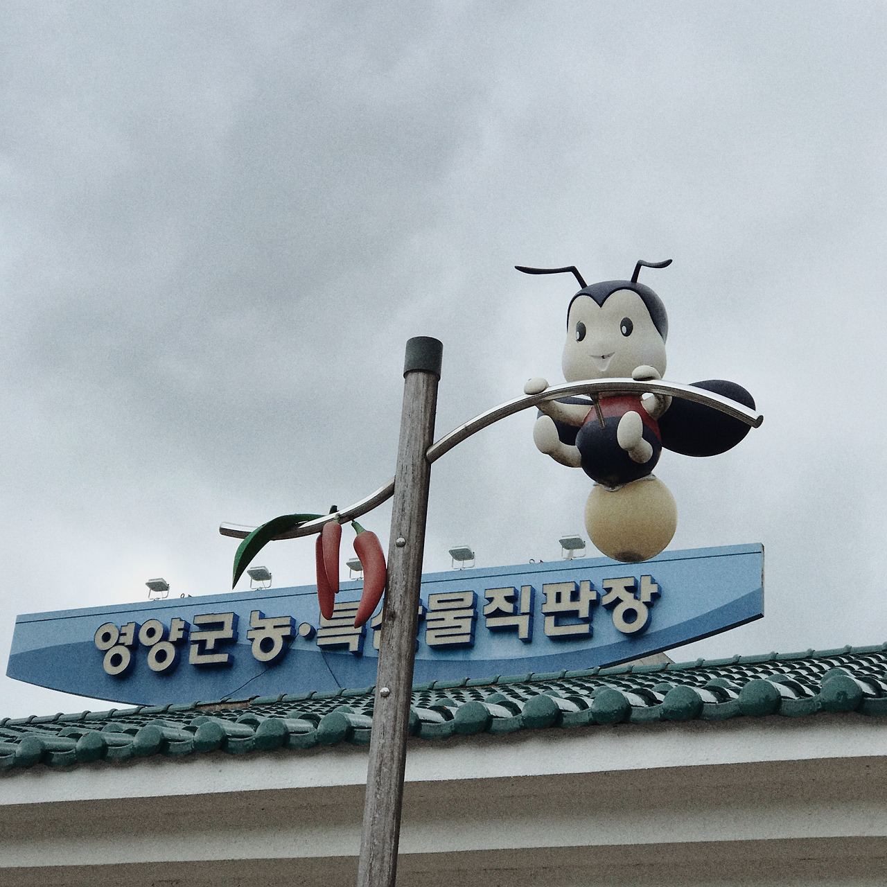 한우네 (경상북도 영양군) 사진