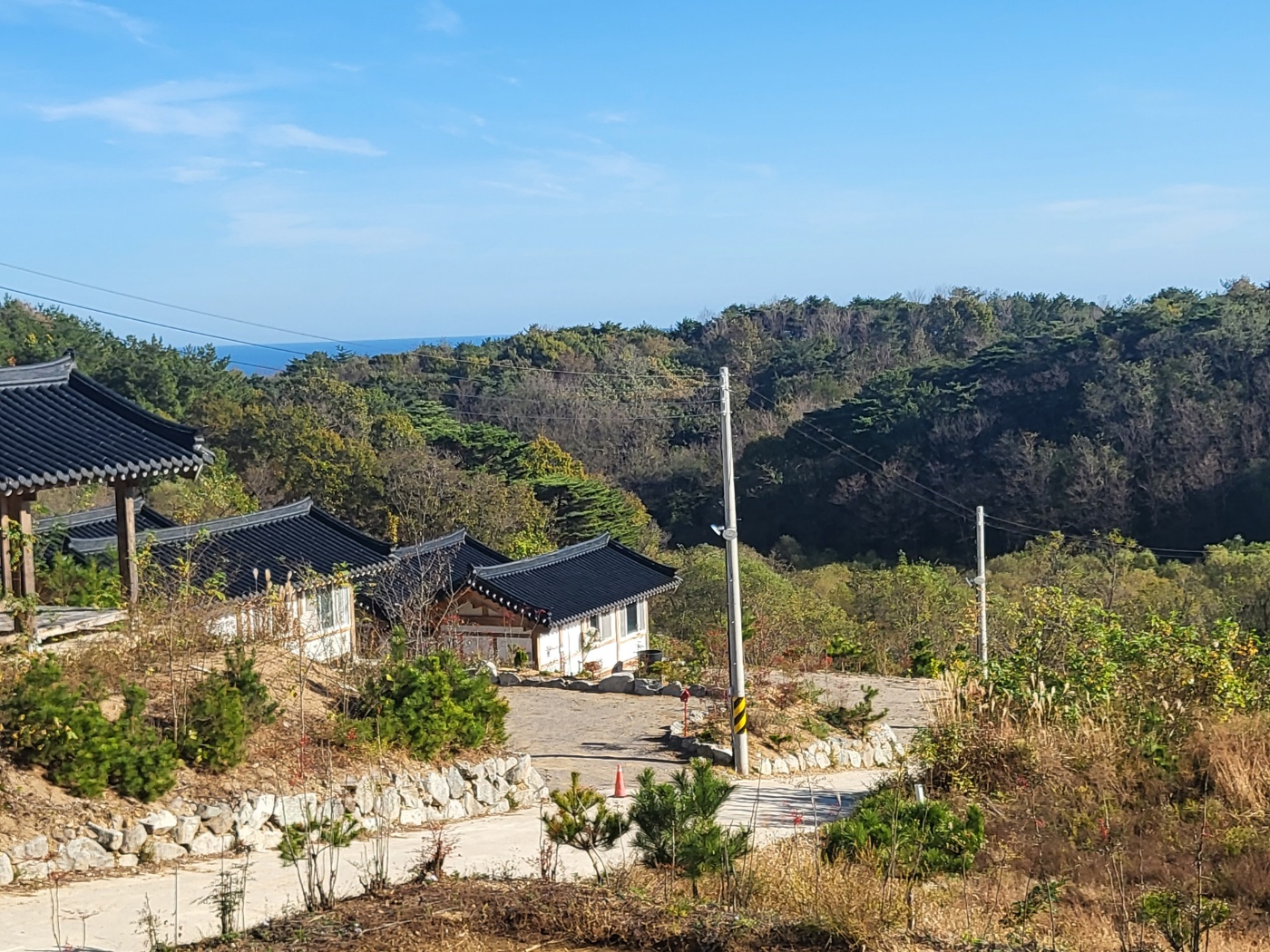 한옥민박 (경상북도 영덕군) 사진