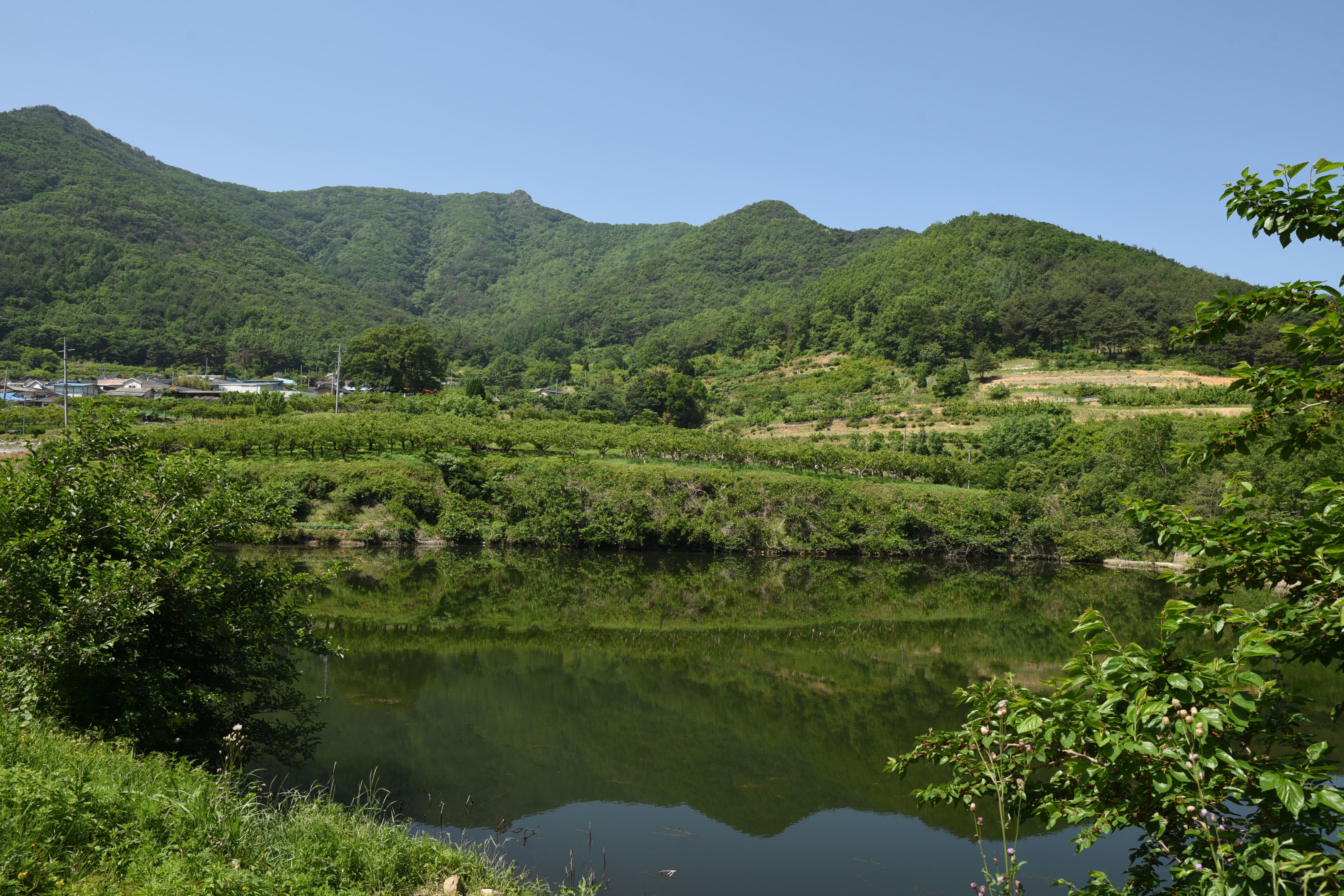 대구민박 (경상북도 영덕군) 사진