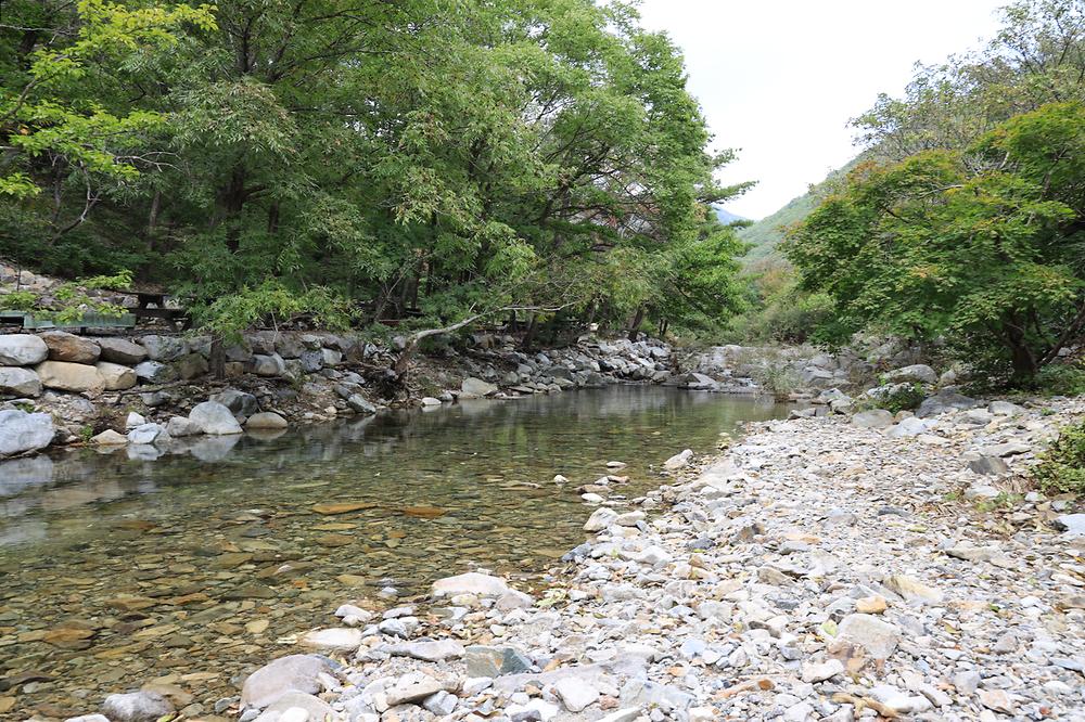 삼계리주말농원 (경상북도 청도군) 사진