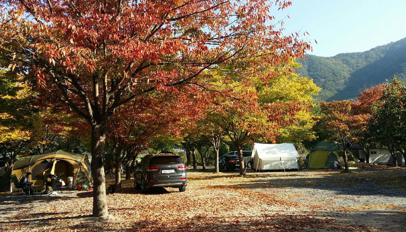 운문사계절캠핑펜션 (경상북도 청도군) 사진