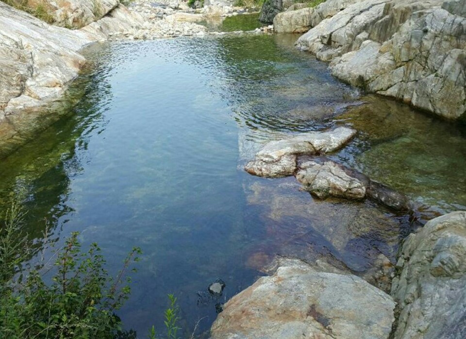 참존민박 (경상북도 성주군) 사진
