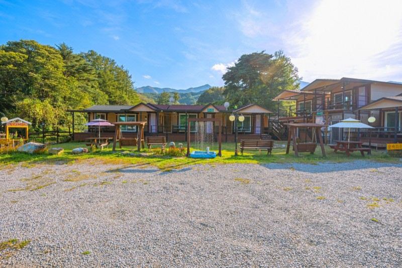 숲속의아침 (경상북도 성주군) 사진