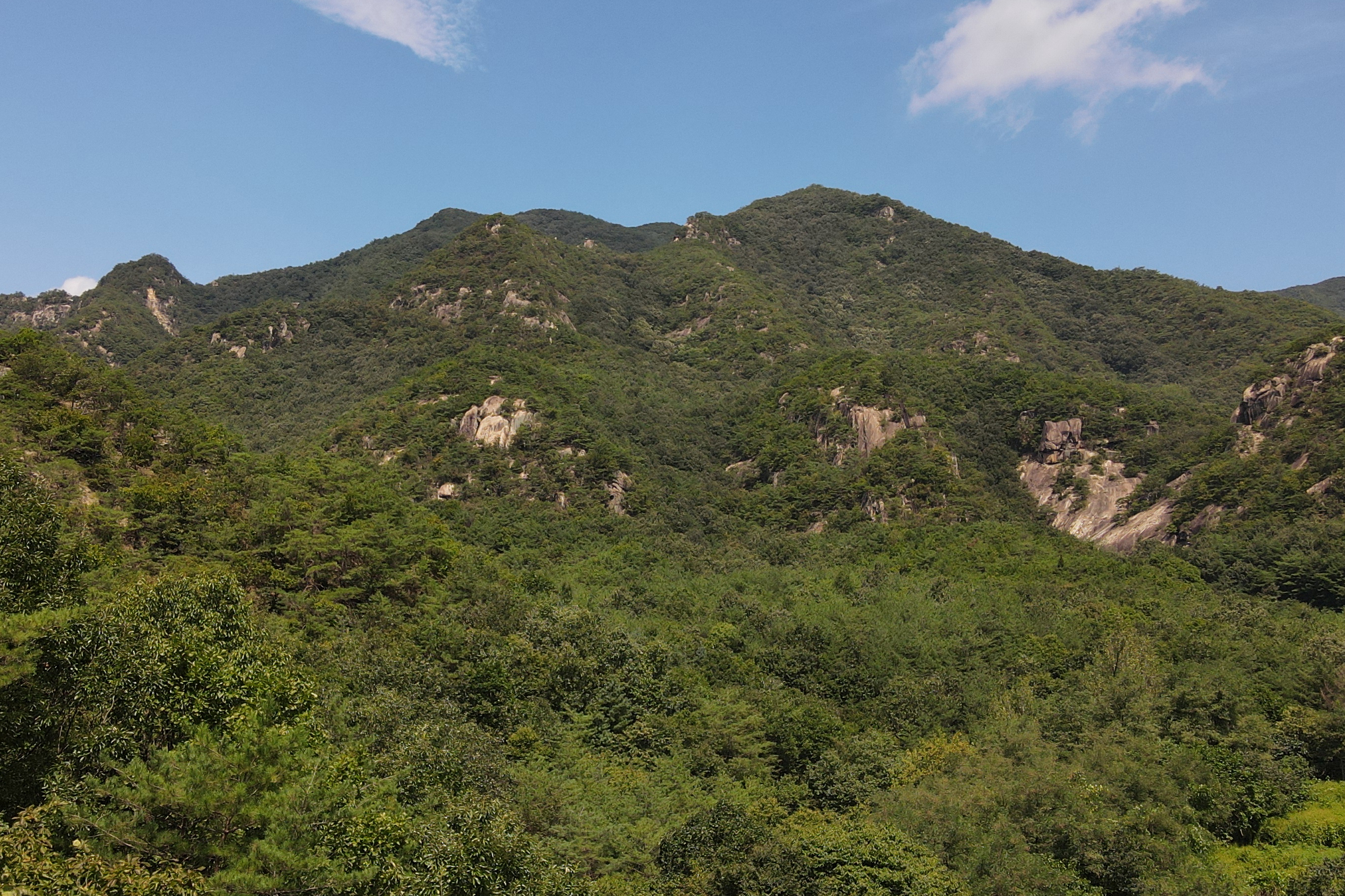 금수펜션(산장) (경상북도 성주군) 사진