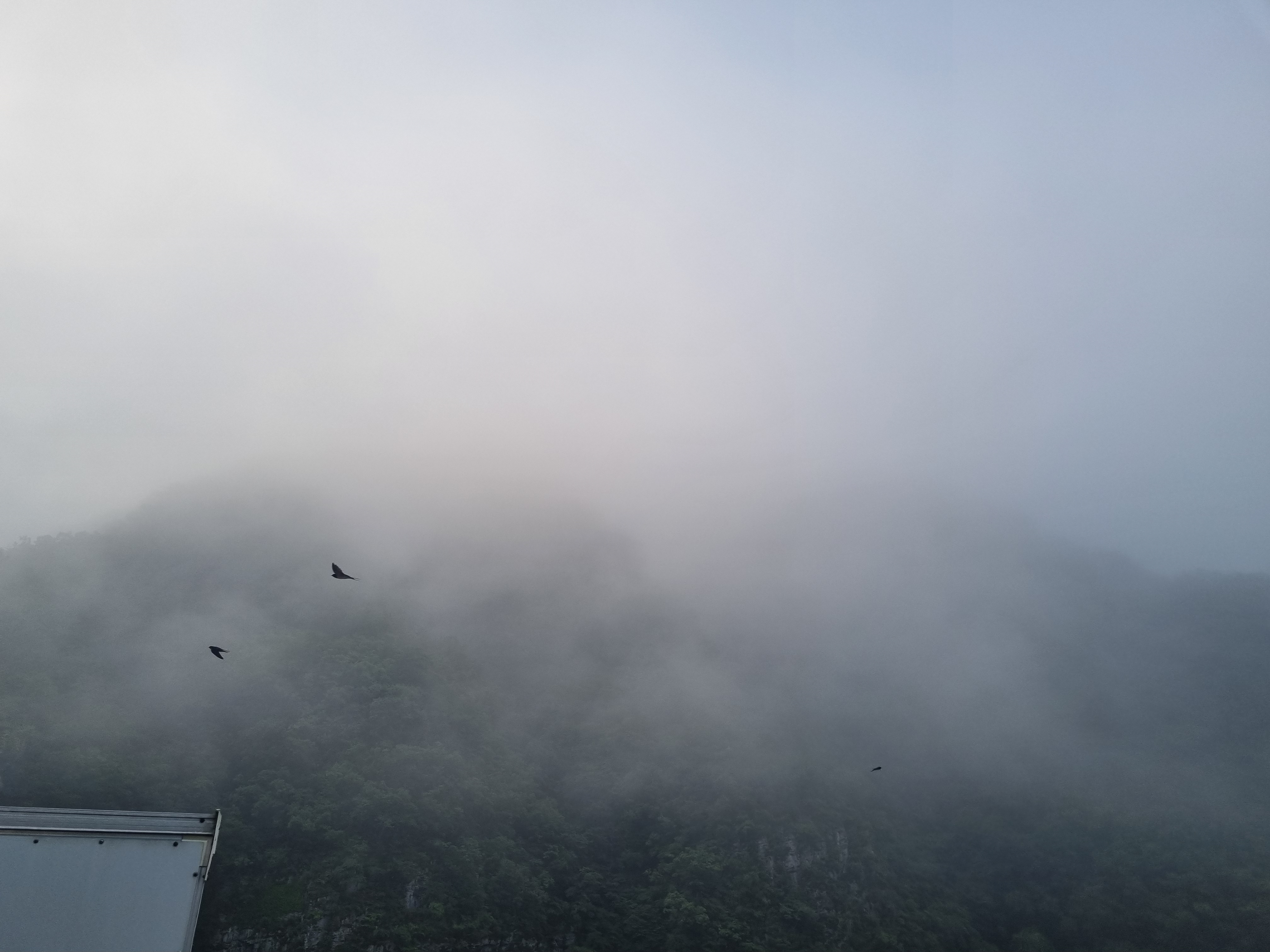 청량산 참 민박 (경상북도 봉화군) 사진