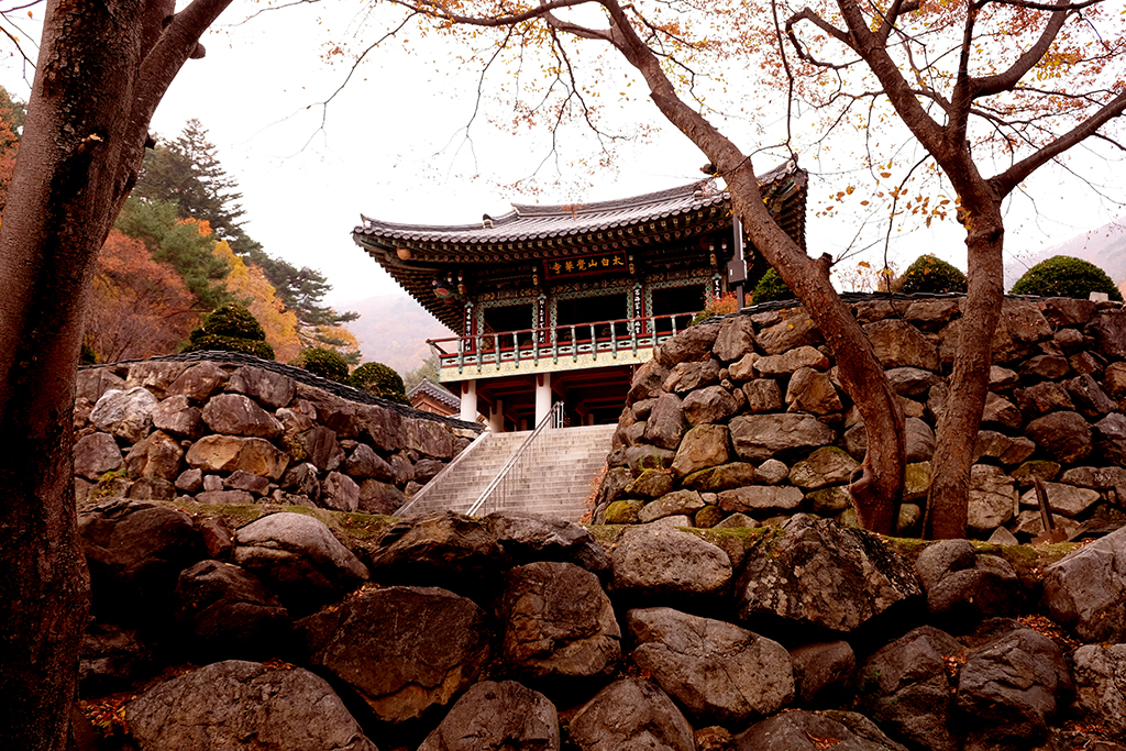 각화산민박 (경상북도 봉화군) 사진
