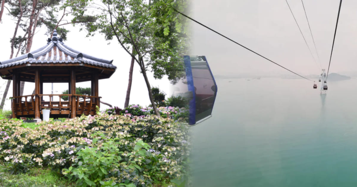 동해바다 1 (경상북도 울진군) 사진