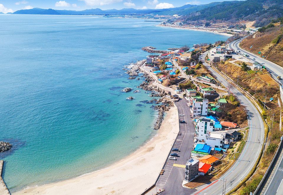 별빛마을 (경상북도 울진군) 사진
