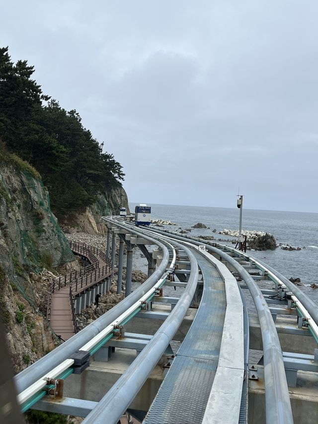 하늘바다 (경상북도 울진군) 사진