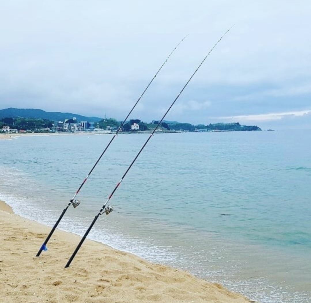 푸른바다펜션 (경상북도 울릉군) 사진