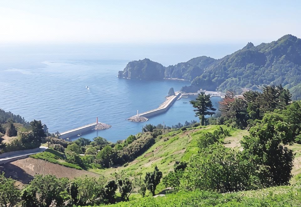 독도펜션 (경상북도 울릉군) 사진