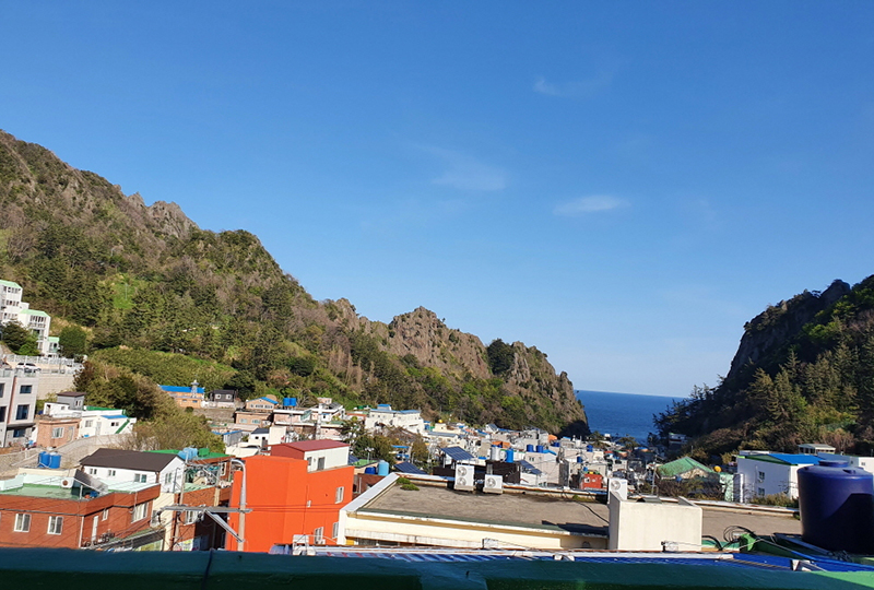 자연애 선펜션 (경상북도 울릉군) 사진