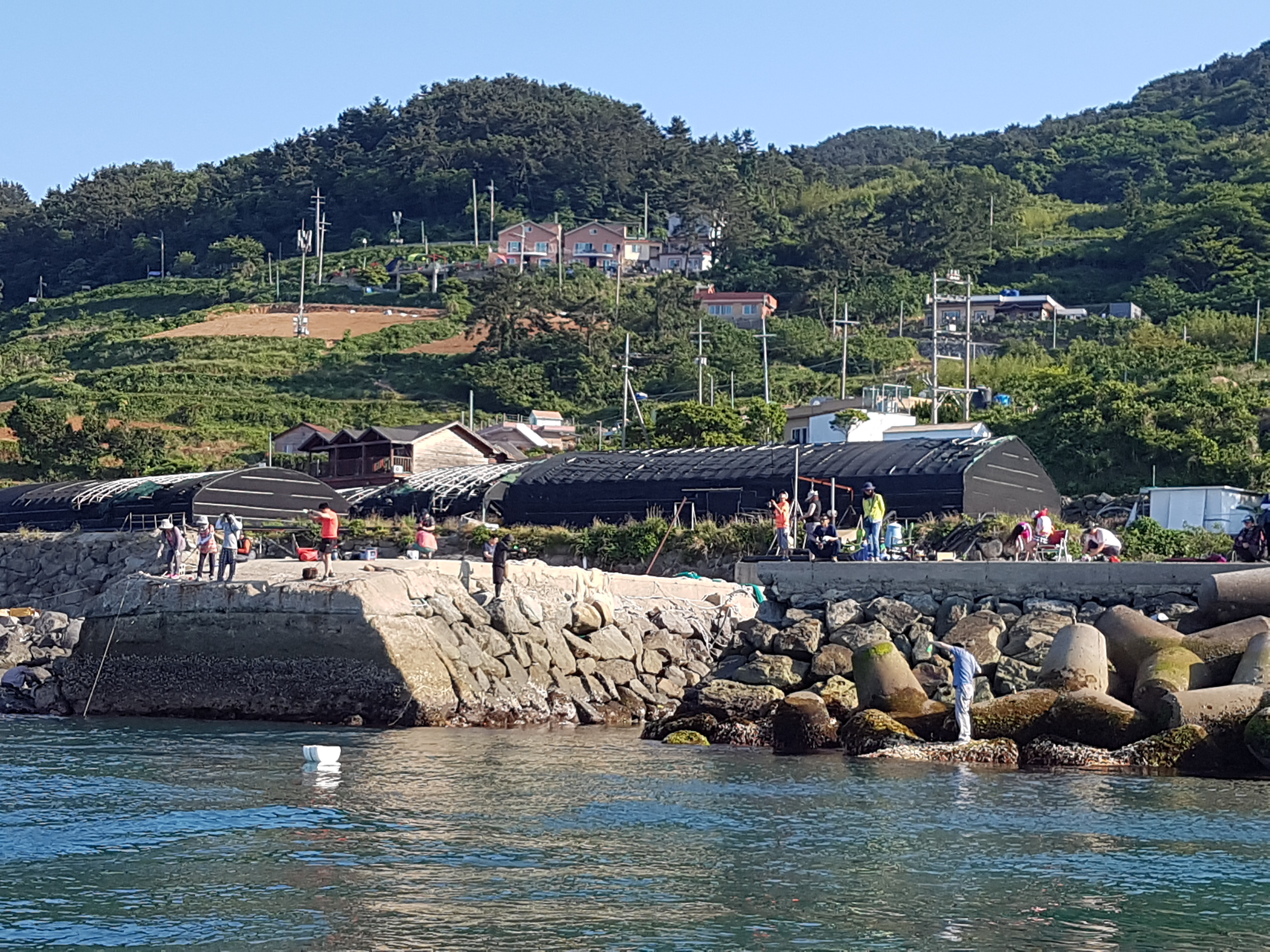 삼부자펜션 (경상남도 통영시) 사진