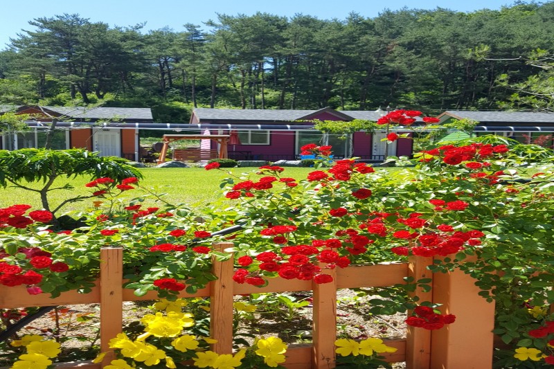 대교펜션 (경상남도 사천시) 사진