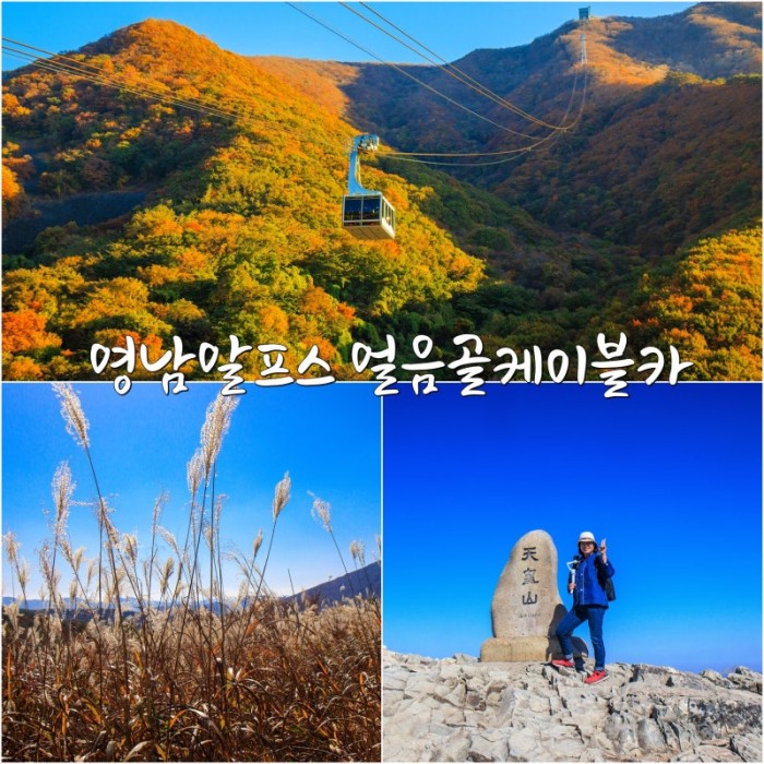 케이블카