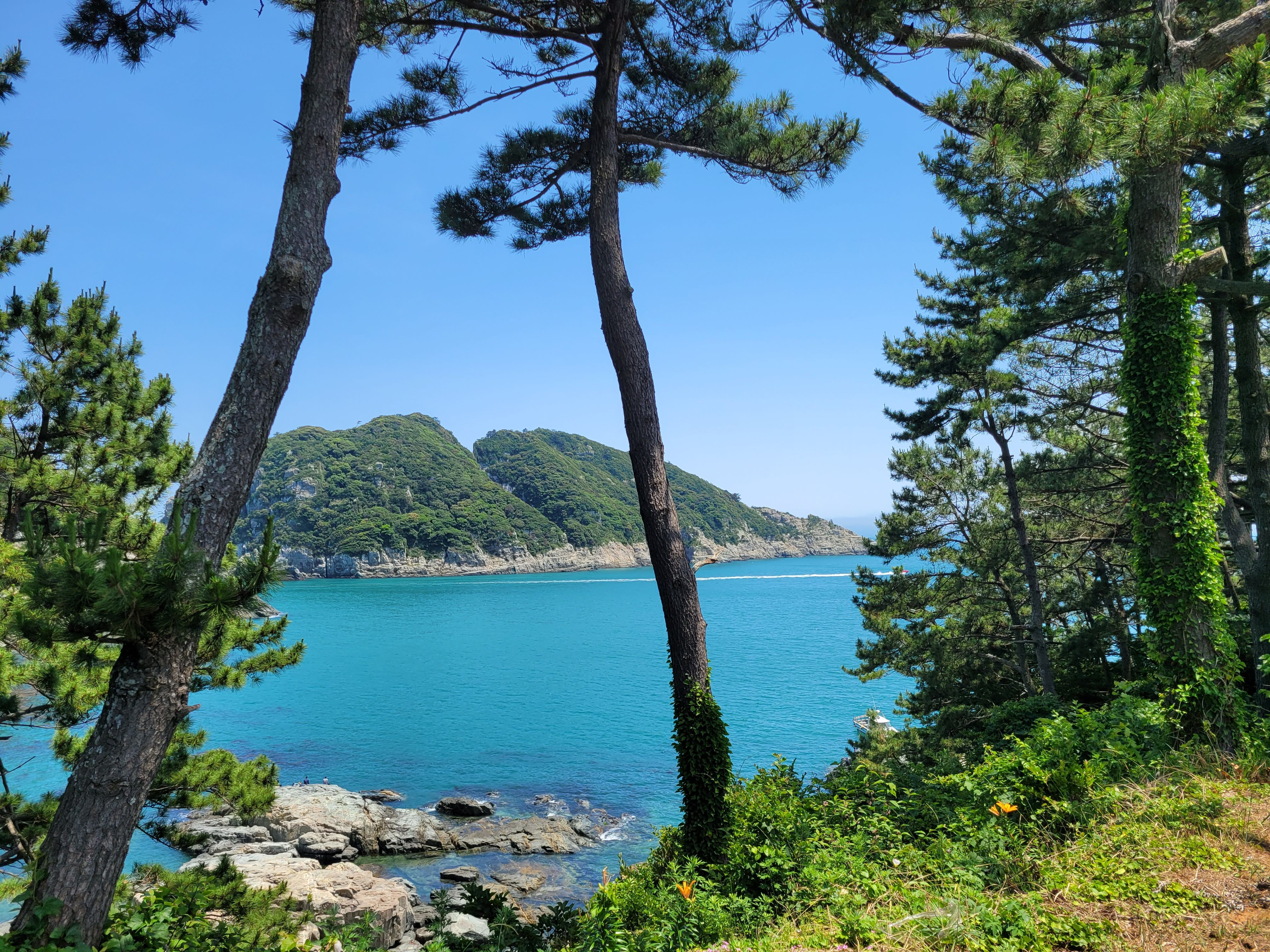거제도 소나무향기 낚시펜션 (경상남도 거제시) 사진