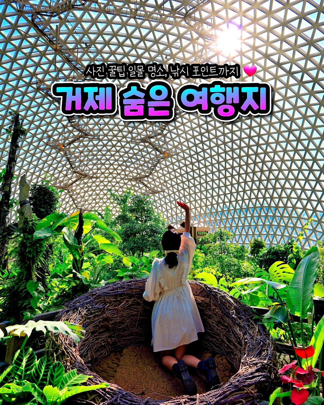 새둥지