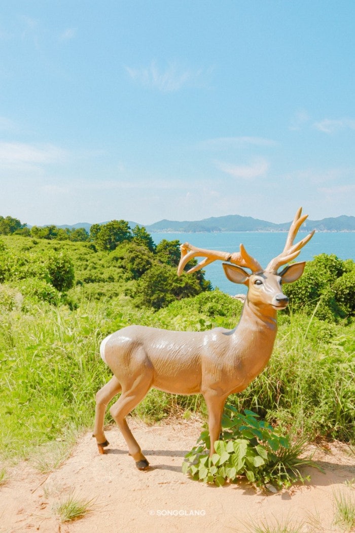 이수도 1박3식 예쁜민박 (경상남도 거제시) 사진