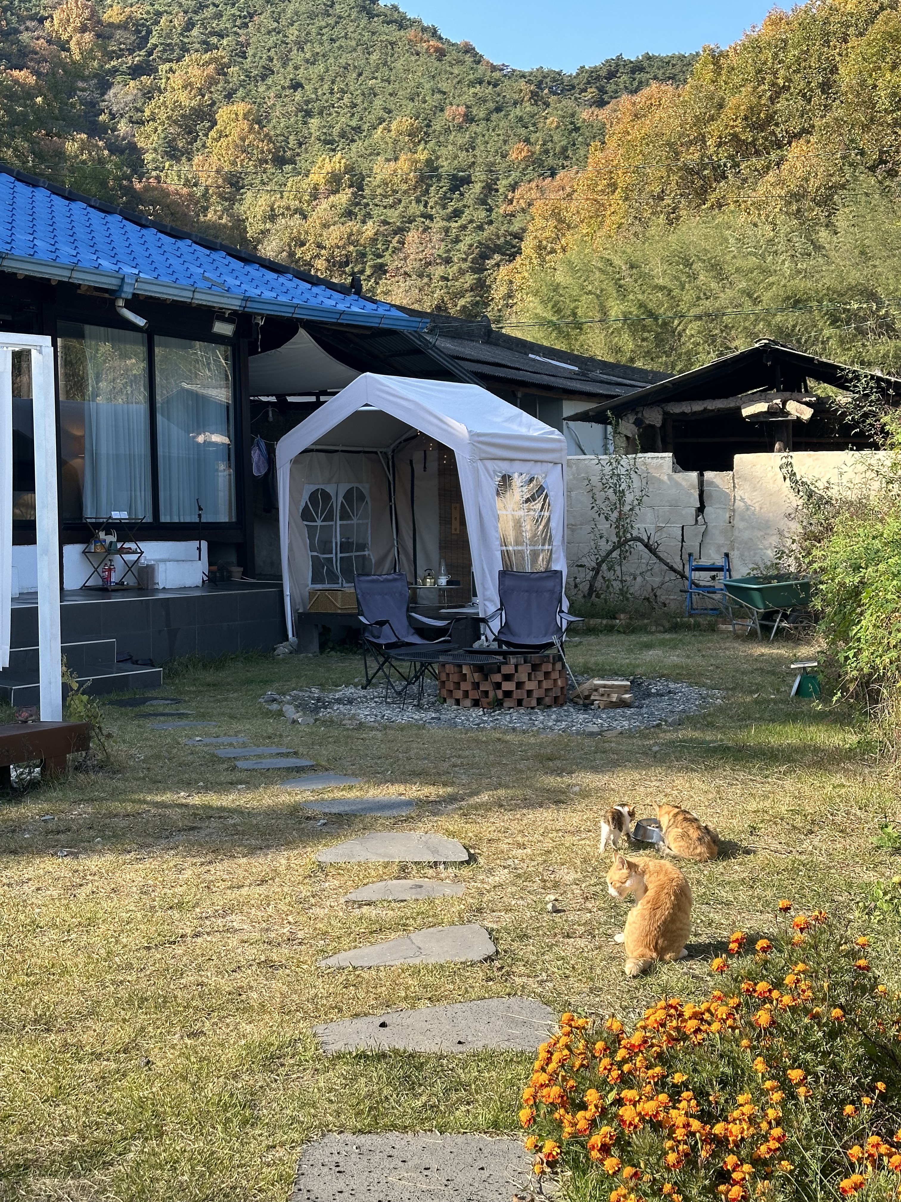 어느주택 (경상남도 창녕군) 사진