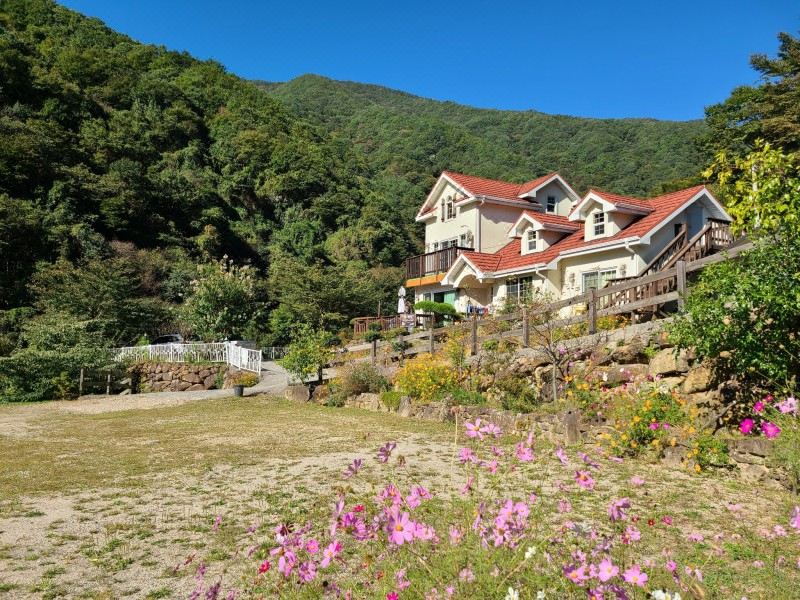 숲속정원펜션 (경상남도 하동군) 사진