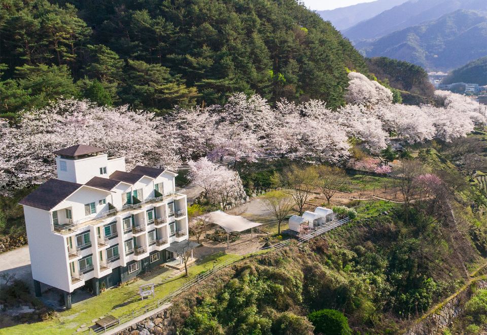 지리산펜션산장 (경상남도 하동군) 사진