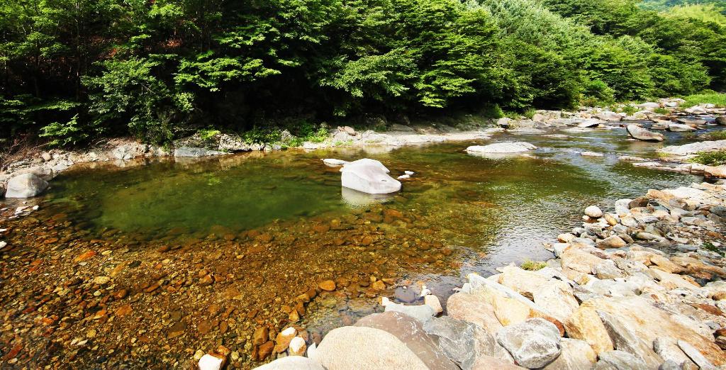 고동골펜션 (경상남도 하동군) 사진