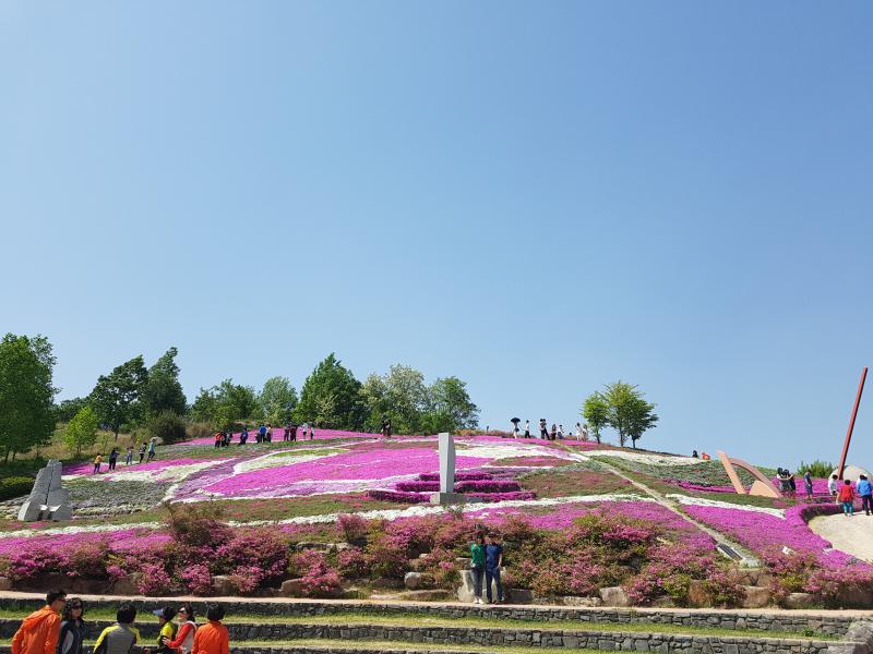 숲속맑은꼴 (경상남도 산청군) 사진
