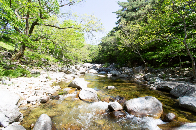 화이트 하우스 (경상남도 함양군) 사진
