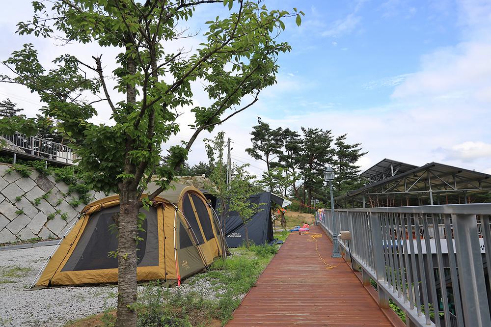 용추솔밭관광농원 (경상남도 함양군) 사진