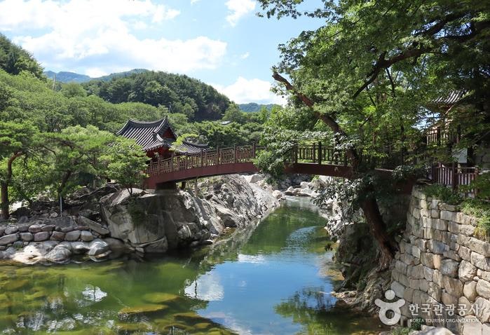 리틀 아쉬람 (경상남도 함양군) 사진