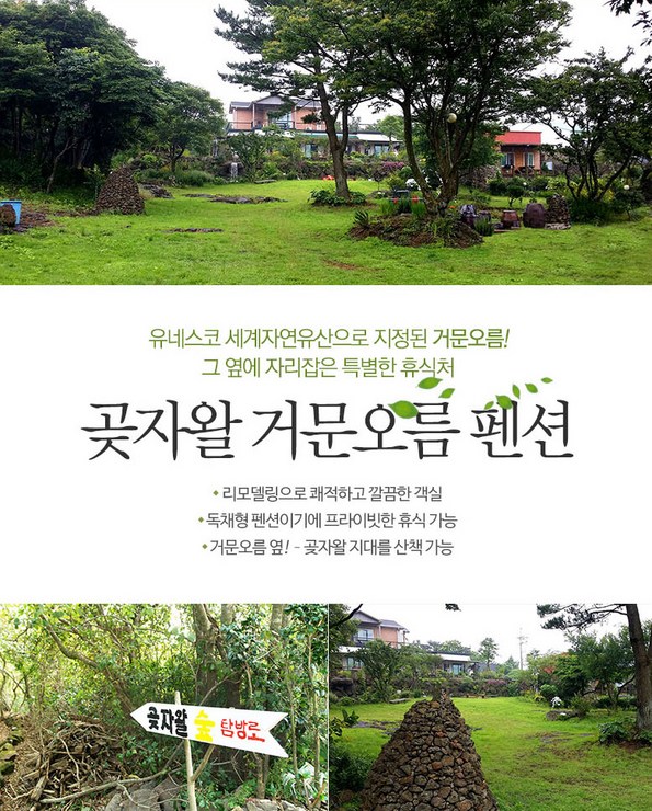 곶자왈거문오름 (제주특별자치도 제주시) 사진